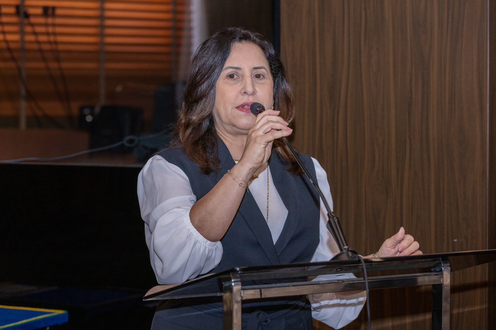 A diretora de Comunicação Institucional da Alepa, Alda Dantas, destacou o papel estratégico da emissora dentro do sistema de comunicação legislativo.