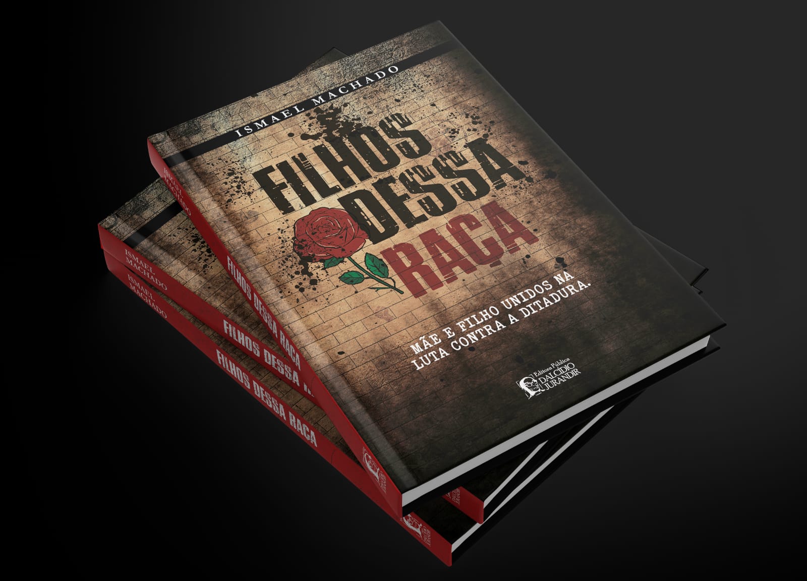 o livro evidencia que as disputas por terra, memória e justiça continuam moldando a realidade amazônica.