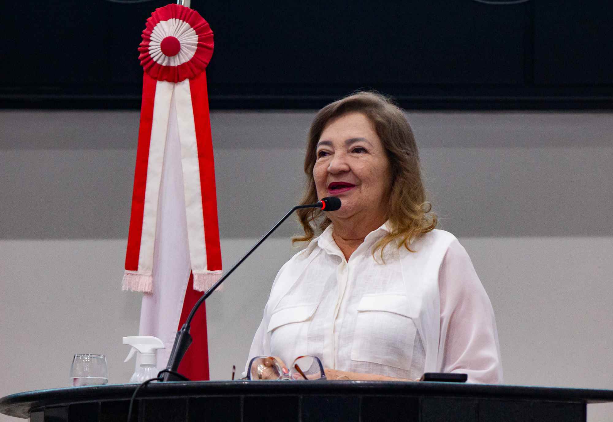 A deputada Maria do Carmo (PT)  apresentou 445 proposições em seis meses de atividade parlamentar.