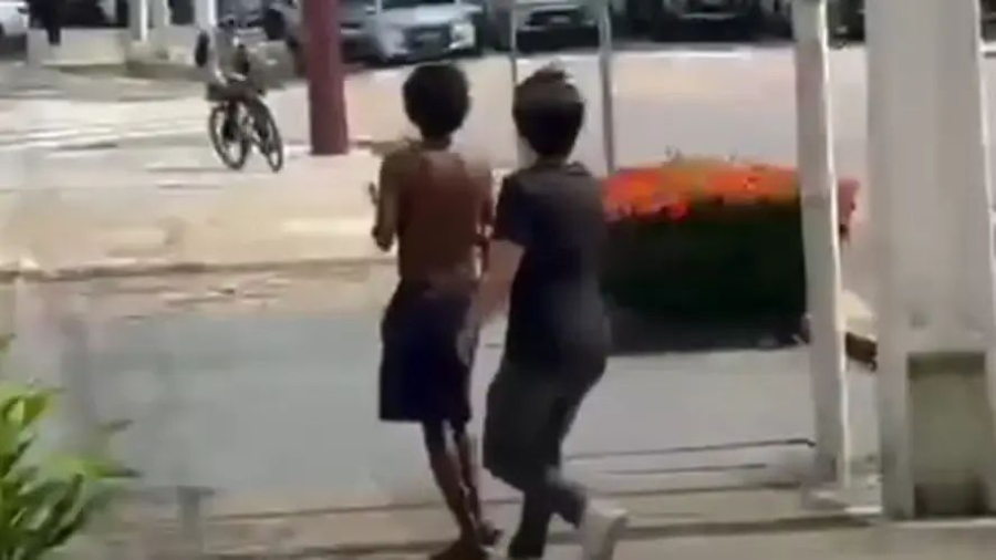 A deputada disparou: “não é apenas agressão, é sadismo, é tortura o episódio que ganhou voz nacional. Na foto a captura do vídeo do delito.