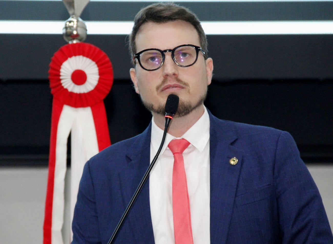 A proposta da universidade surgiu a partir do Projeto de Indicação nº 91/2021, de autoria do deputado Dirceu Ten Caten (PT), aprovado pela Alepa em 2023