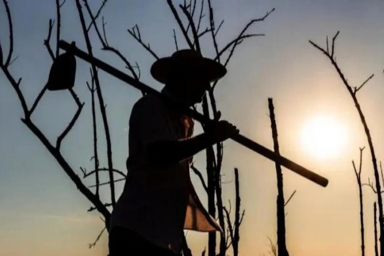 Crédito: Divulgação: Portal Internacional da Amazônia