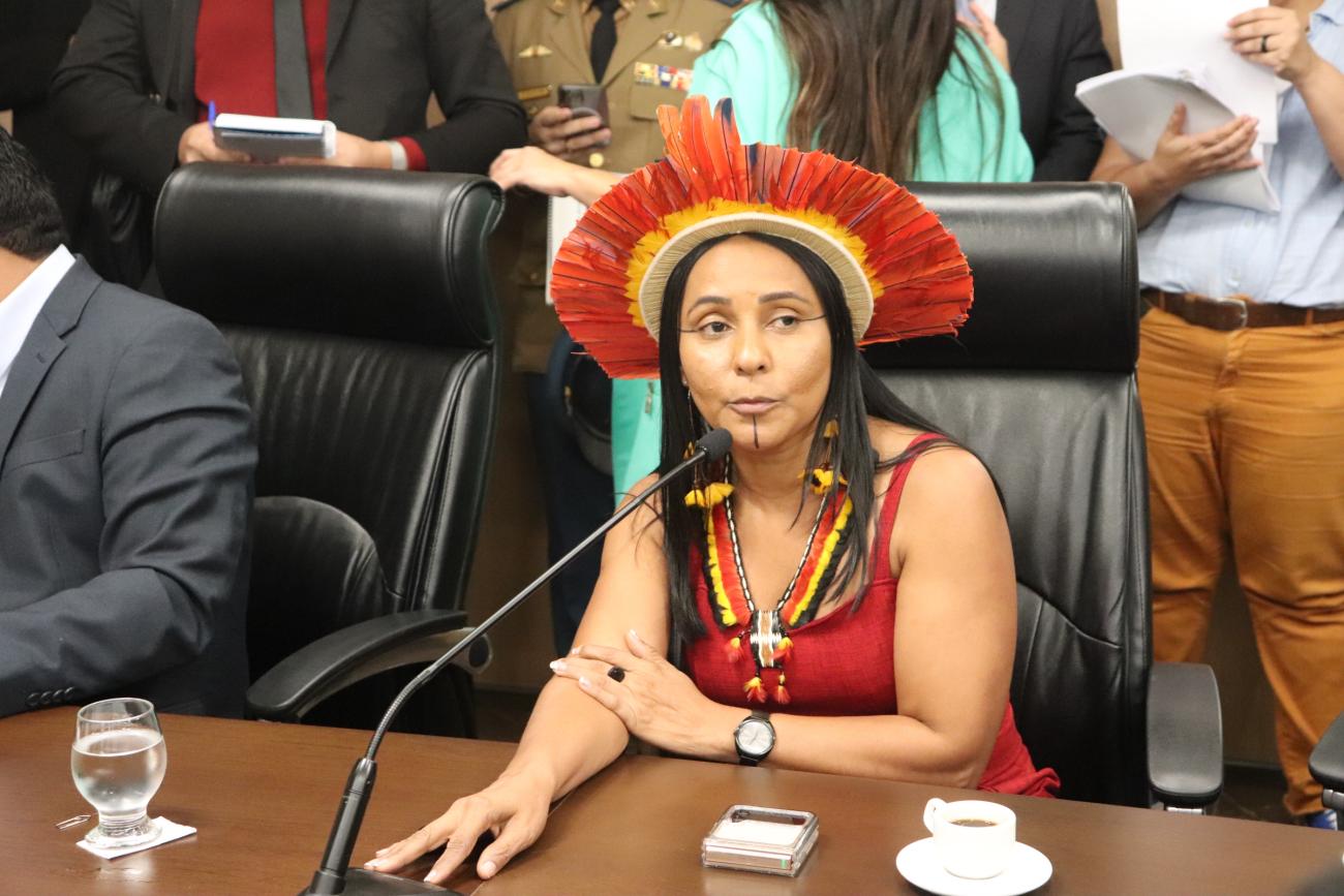 Crédito: Foto: Kayke Gibson - ASCOM FF