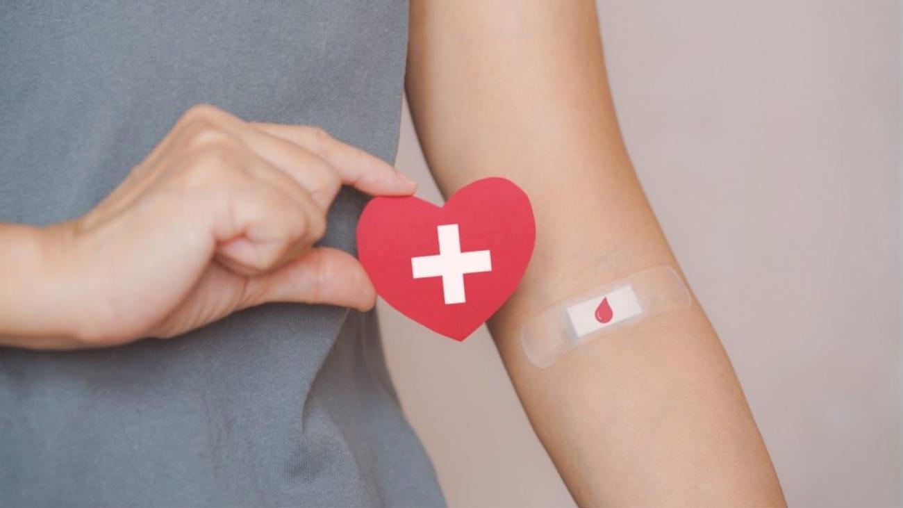 Crédito: Divulgação (AID/Alepa)