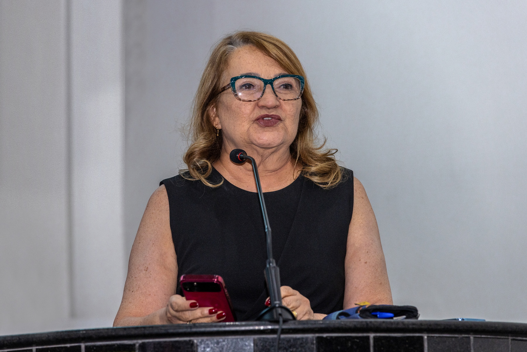 Crédito: Celso Lobo (AID/ALEPA) 'Agosto Lilás' foi destaque da abertura do período legislativo deste segundo semestre