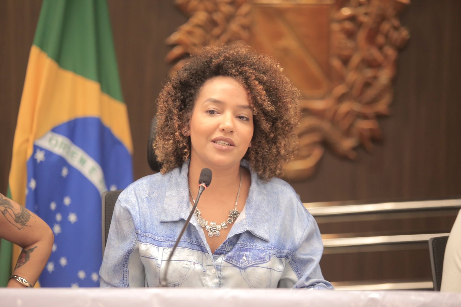 Balthazar Costa (AID/ALEPA) Sessão Especial na Alepa debate políticas públicas para mulheres